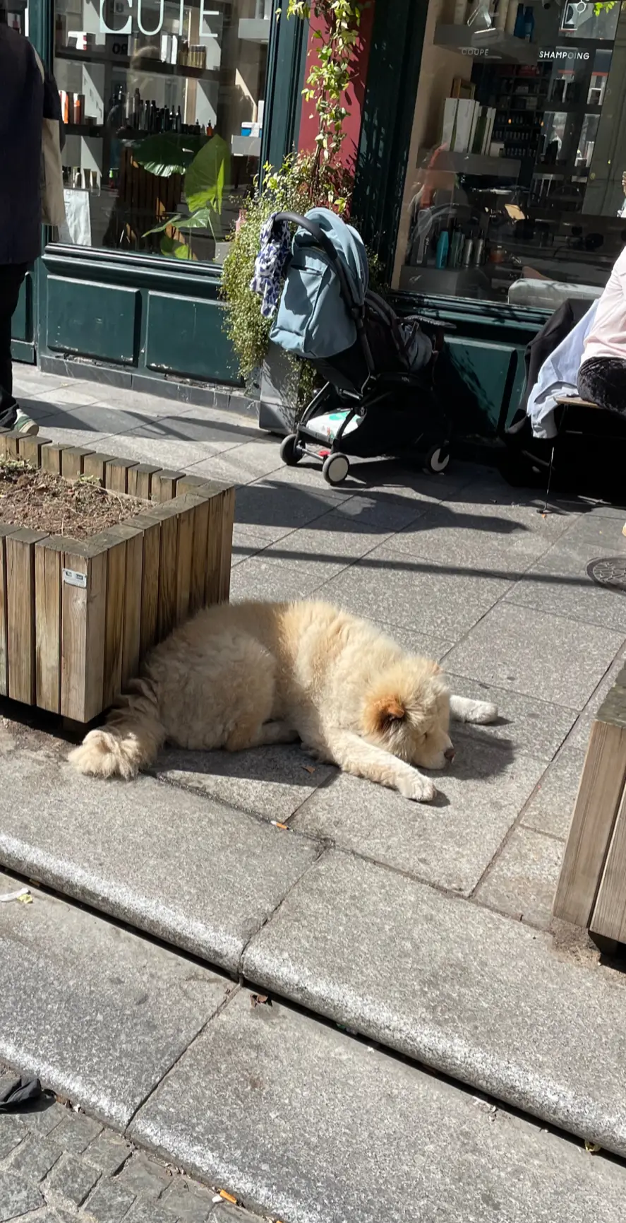 weekend dump #paris #hometour #cocktails #brunch #Love 