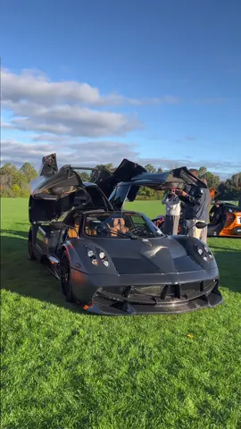 Matte black pagani 