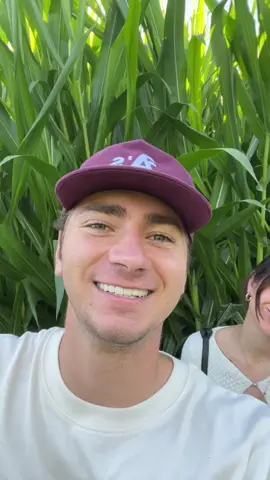 episode 5 |  The sunflower field