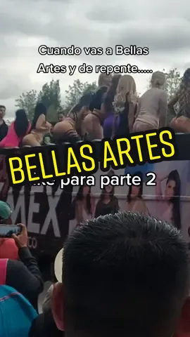 Tipico en bellas artes 🤣#mexico #risa #fyp #parati #comedia #bellasartes 