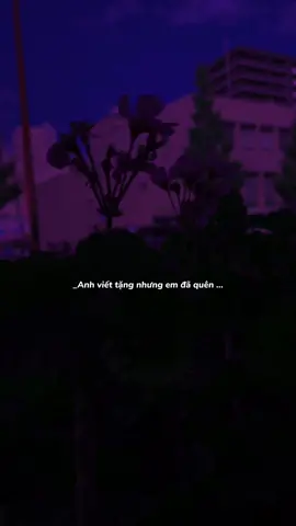 Nói thật đi bạn ổn chứ ..? #nhactamtrang