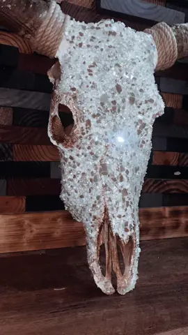 #cow #cows #cowskull #cowskulls #bling #cowgirl #morganwallen #codyjohnson #country #steer #bulls #smallbusinesssupport #foryou #fyp #foryourpage #art #blowthisup 