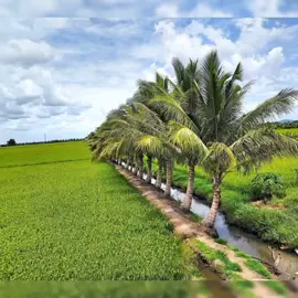 Những điểm du lịch nổi tiếng ở miền Tây!. Bạn nhất định phải đến khi đặt chân xuống miền Tây. #mientay #xuhuong 