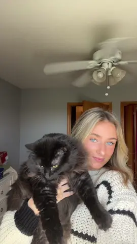 kitty