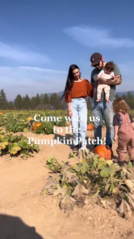 #pumpkinseason #pumpkinpatch #fallfestival 
