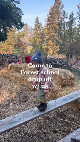#waldorfschool #outdoorschool #forestschool 