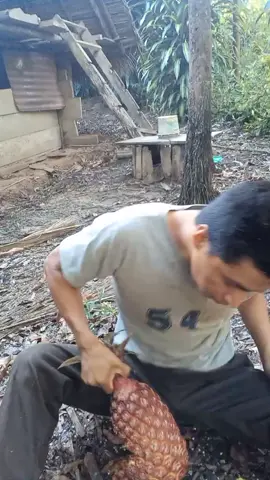 comiendo piña