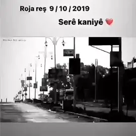 #sere_kaniye  #راس_العين 