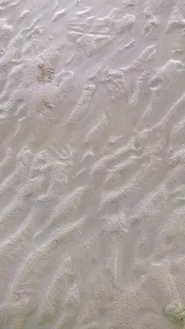 #ปลาดาว #สัตว์โลกน่ารัก #⭐️⭐️⭐️