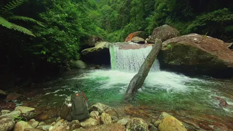 Lõi rừng Hoàng Liên Sơn. Tân Uyên - Lai Châu