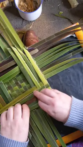 Replying to @meg_arte making three kōnae #harakeke #nzflax #weaving 