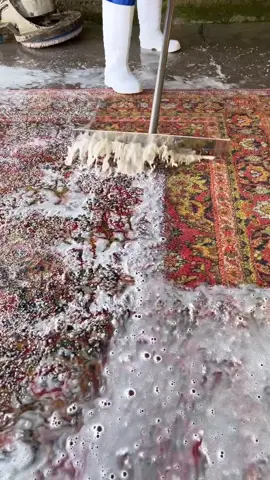 #satisfying #carpetcleaning #asmr 