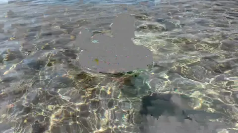 Baby shark 😍 #babiesoftiktok #global #bebekvideolari #maşallahh 