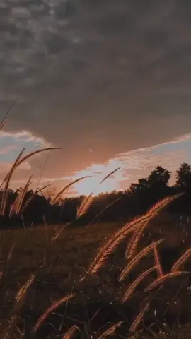 sering terjadi #meme #cut #perfectcut #man #funny #fyp