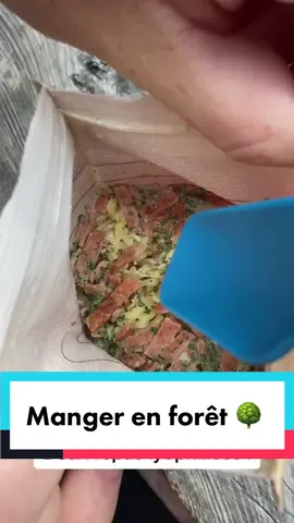 Manger en pleine nature 😱 #bloomaps #food #foodtiktok #recettesimple #bivouac 