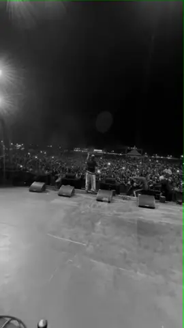 YEX4 ROCKINGTHEMBALIS