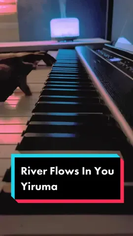 #piano #yiruma #yirumariverflowsinyou #riverflowsinyou 
