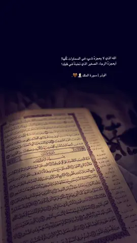 الوتر جنة القلوب🤍🕊#اكسبلور #الوتر #ابها 