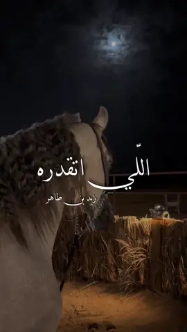 #اللي_اتقدره #ليبيا #طرابلس #بنغازي #سرت #سبها #مصراته #طبرق #مرسى_مطروح #الخليج #دبي #اشعار #شعر_شعبي_ليبي #قصيدة_جزله #زيد_بن_طاهر