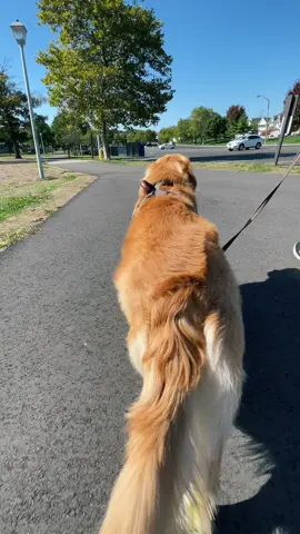 Definitely a game changer. #fyp #foryoupage #amazonfinds #amazonmusthaves #amazonprimeday 