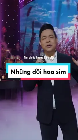 Những đồi hoa sim #molibolero #molinetwork 