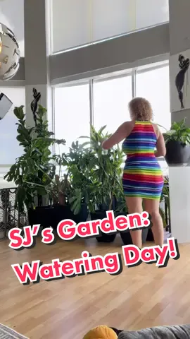 My Love Garden 💕 #gardening #indoorgardening #PlantTok #plantmom 