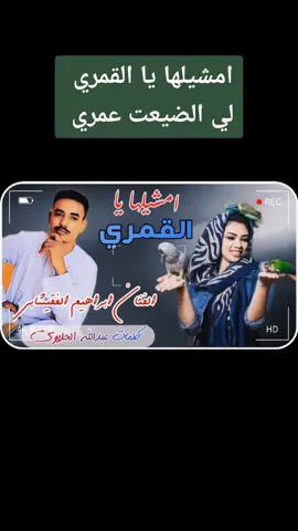 #السودان_مشاهير_تيك_توك_السعوديه #سودانيز_تيك_توك_مشاهير_السودان #ابراهيم_الفقيشابي 