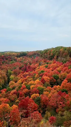 📍Dundas Peak📍#dundaspeak #hamilton #fallvibes #fallcolours #ontario #ontariofall 