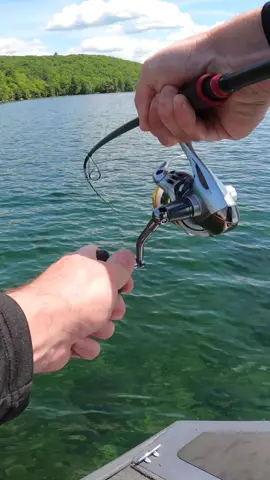 Dropshot still producing as temps drop🥶 #hellamite #hellamitebait #smalmouthbass #bigsmallie #bigsmallies #riversmallies #smalliesonthefly #dropshotfishing #dropshotter 