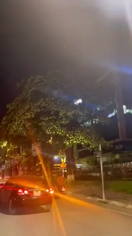 Hoa sữa thơm nhức cái néc 🤣🤣🤣 #muathu #hoasua