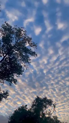 𝑺𝒑𝒆𝒅𝒂 𝒃𝒂𝒔𝒉 💙🌤️#fypシ #morning #sky #today #viral 