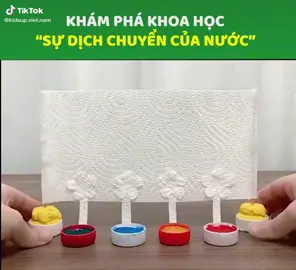 Khám phá đơn giản và đầy hứng thú cùng con #phammai541 #cogiaomamnon #vuihoccungbe #xuhuongtiktok 