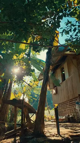Ang ganda ng kubo ni Mama at Papa #fyp ##nature #bahaykubo #kubo #calm #naturevibes #xyzbca #serendipity 