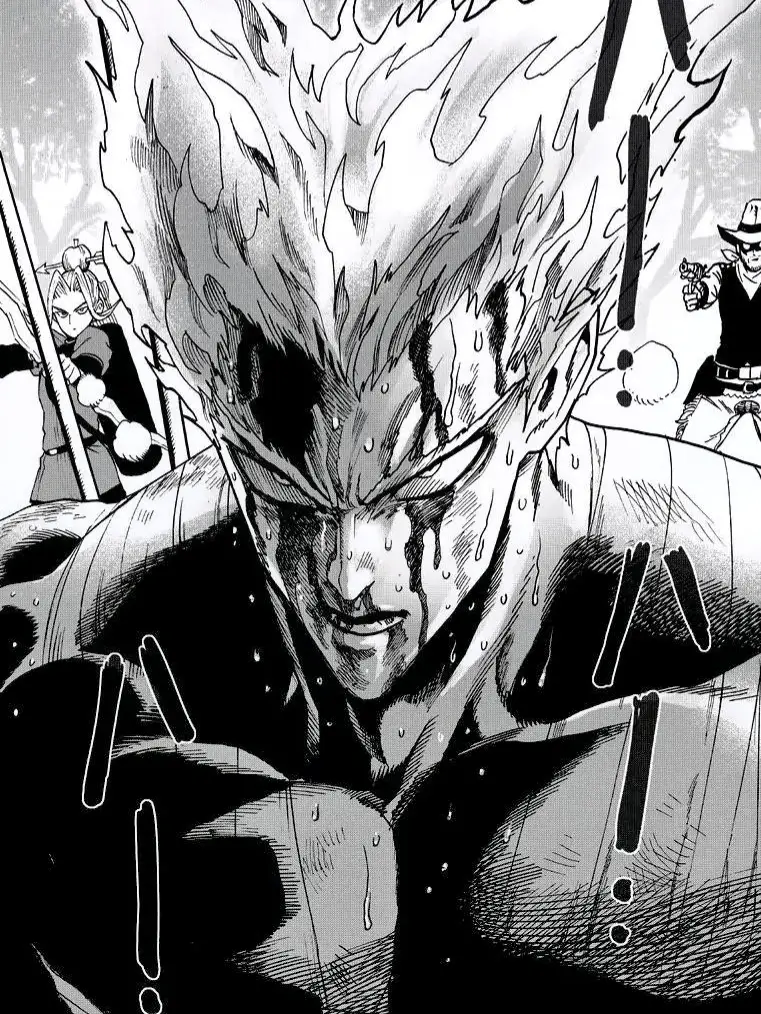 garou best pictures #opm #onepunchman #garou #anime #manga 