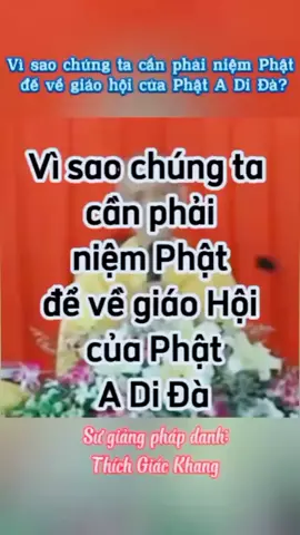 Sư thích giác khang giảng #xuhuongtiktok #kientanhthanhphat #thichgiackhang