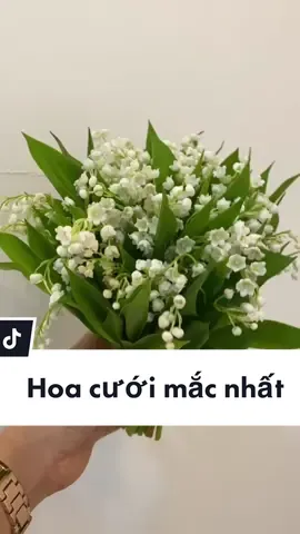 Bó hoa cưới mắc nhất thế giới, đôi khi muốn cũng không đặt được nè ạ 💕 #mariebridal #wedding #vaycuoi 