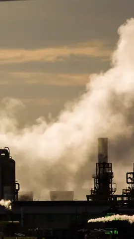 #explorepage #explore #foryoupage #fyp #musicsupervisor #musicsupervision #placements #anime #instrumental #smoke #pollution #factory #refinerylife  #mood #japan #china #beijing #singapore #worldmusic #ghana #hongkong #explore #soundtrack #europe #australia #thailand #toronto #brazil 