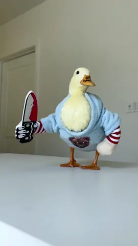 Be careful this Halloween! I was assaulted! #fyp #halloween #costumes #halloweenpets #duck #outfit #PetsOfTikTok #mochitheduck 