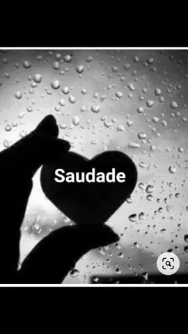 A saudade e as lembranças que deixou comigo serão eternas!