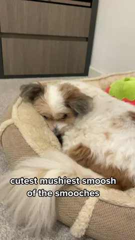 😭