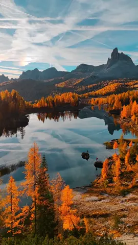Golden autumn tones of the Dolomites 🍁  #tiktoktravel #italy #dolomites #autumn #fall #larches #Hiking #Outdoors #nature 