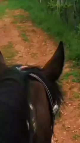 #campo #vida #derancho🇲🇽❤️ #🌾🌾🌾 #🐎🤠 #gpyyyyyyyyyyyyyyyyyy #caballito #tayahuazacatecas❤️