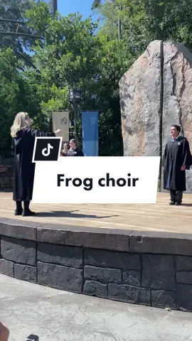 Something wicked this way comes…#w#wizardingworldh#harrypotterh#hppovh#hptoks#shifttokh#hpfypd#dracotoku#universalflorida#h#hogwartscastled#diagonalleyhogsmeade #frogchoir 