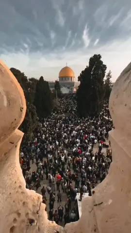 Free Palestine 🇵🇸  #freepalestine🇵🇸❤️ #palestine #freedomforpalestine #whatsappstatus #fyp #tiktokpalestineفلسطين #foryoupage #tiktokpakistan #explore_اكسبلور #trending #aestheticstatus #viral 