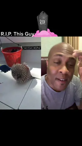 #duet with @ronniejc94 #brokefinger Rest In Peace my guy!! #DeliciousHabits #FugaziFoodies #foodiefans👨‍🍳 #Peace #TikTokFood 