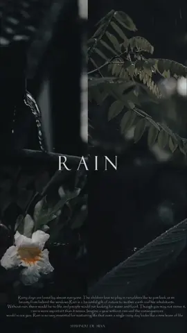 Rainy Day🌧️ #rainyday #rain #nature #photography #naturephotography #photooftheday #Love #rainy #instagood #clouds #raindrops #instagram #raining #rainydays #picoftheday #ig #travel #sky #weather #rainbow #autumn #instadaily #naturelovers #photo #monsoon #rainyweather #beautiful #cloudy #india #follow #cinematics #srilanka 