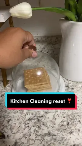 A little home cleaning motivation for you@Tineco  !🚨#kitchenrestock #kitchenreset #homereset #cleaningmotivation #smallkitchen #airbnbcleaninglady #tinecos5 #tineco #kitchencleaning #cleaningtiktok #CleanTok 