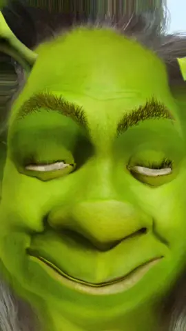 Fiona #fyp #fypage #fypシ #foryou #fiona #princess #shrek #movie #lol #green #monster 