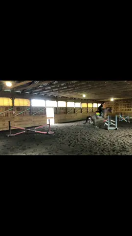 “Content Clinic” Nov 5th and 6th: come take a lesson on your horse or mine and be in one of my TikToks! $50 for a 30-min session or $75 for an hour. Auditing is free 💕