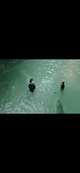 #crawl #crawl2019 #xyzbca #fyp #foryou #foryoupage #edit 